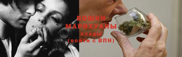 индика Осинники