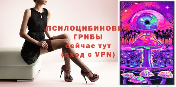 индика Осинники