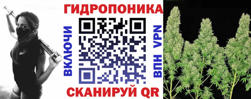 Канабис SATIVA & INDICA  Урень 
